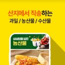 욜로유통