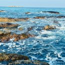 토영이야~길(1코스-예술의 향기길) | [속초 여행코스] 직접 가보고 반한 속초가볼만한곳 BEST6 (낙산사-영금정)