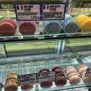 중앙동237 이미지