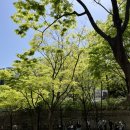 풍물놀이 | [서울 연극 추천] 덕수궁 돌담길 따라, 국립정동극장 연극 <광대> 엄마랑 데이트 후기🤹🌳