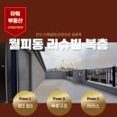 타워아이즈빌공인중개사사무소 이미지