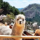 키털이 월드 이미지