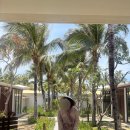 육자봉농장2 | 태교여행 깜란 퓨전리조트 추천🏝️ (+레스토랑·수영장·피트니스센터·요가원·마사지 다하고 온 후기)