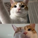 반짝반짝