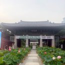 소망로또 | [강남/삼성역] 퇴근 후 봉은사 방문 후기 | 금전운•이직운 기운 받고 4등 로또 당첨된 썰!