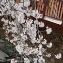 여좌천거리 이미지