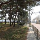 동서트레일 6구간 3부 성당초등학교-삼웅2리마을회관 : 승전목의 동학정신과 삼웅2리 마을의 영웅 우러름 기상 이미지
