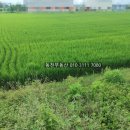 동읍1230 이미지