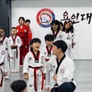 용인대송라태권도 이미지