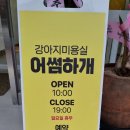 어썸하개 네이버블로그