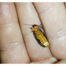 별스런 산책 이미지