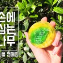 손에그린