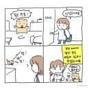 강아지 바리스타 이미지