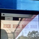 개화농장 | 2026 태안튤립축제 내돈내산 후기 개화상황 포토존 주차 입장료 총정리
