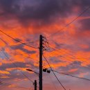 보네르플라워 - 수원시 영통구 도청로 65 | 보네르플라워