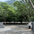 솔밭매점 | 괴산 쌍곡계곡 [솔밭캠프] B구역 캠핑, 평상대여 후기 / 예약 방법, 샤워실, 매점 정보