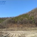 양촌면사무소 네이버블로그