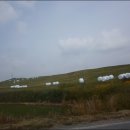 종우목장 이미지