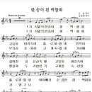 한 송이 흰 백합화 (김호 詩, 김성태 曲) - 박노경(sop) 이미지