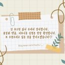 역전할머니맥주 솔밭공원역점 네이버블로그