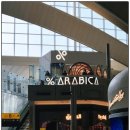 텐퍼센트커피점 | 아부다비 공항에 "텐퍼센트 오픈?". ETIHAD 에티하드 항공, ABU DHABI 아부다비 공항 후기