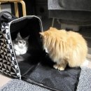 부용목욕탕 이미지