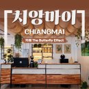 힐링헴프 | 치앙마이 감성 카페 / 올드타운 시원한 분좋카, The Butterfly Effect 내돈내산 후기
