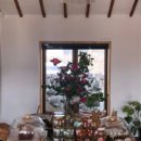 법환동-19 이미지