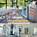 딩동댕 애견 카페 이미지