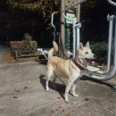 명진동물병원 이미지