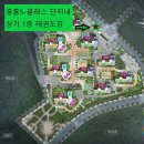 용인대선일태권도장 네이버블로그
