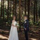 제주 스냅 드헤메샵, 제주유일 내돈내산 후기