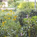 귤현동경로당 이미지