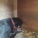 해산농장 이미지