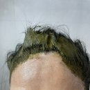 천연머리염색 전문점 | 부모님 새치 흰머리 천연헤나염색약 추천 수자타헤나 후기