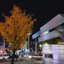 경북대학교 스마트농생명식품융합대학원 이미지