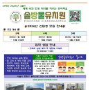 솔방울유치원 이미지
