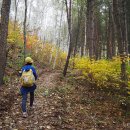 낙동정맥트레일 | 낙동정맥 트레일 - 합법적 백패킹을 위한 사전답사 후기 [3구간]