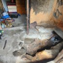 서오리 중부 이미지