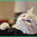 온마음동물병원 이미지