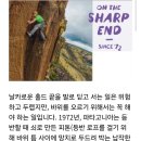 피톤 Daum카페