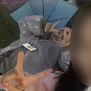 (주)인풋 이미지