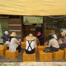 자생초농장 이미지