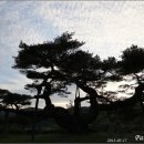 각동제 티스토리