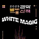 별빛처럼 이미지