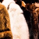 월드농장 이미지