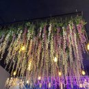 부라보맥주 이미지