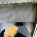 은플라 | ✨🥚 인생 스킨부스터 조합? 포텐자 + 플라좀 솔직 후기 (시술 직후부터 다음날까지)