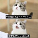 가훼