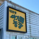 도담목장 | 겨울 아이랑 강릉여행 대관령아기동물농장 다녀온 찐후기(가기전 참고하세요)